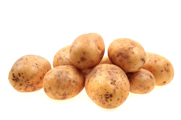 Färsk potatis isolerade — Stockfoto