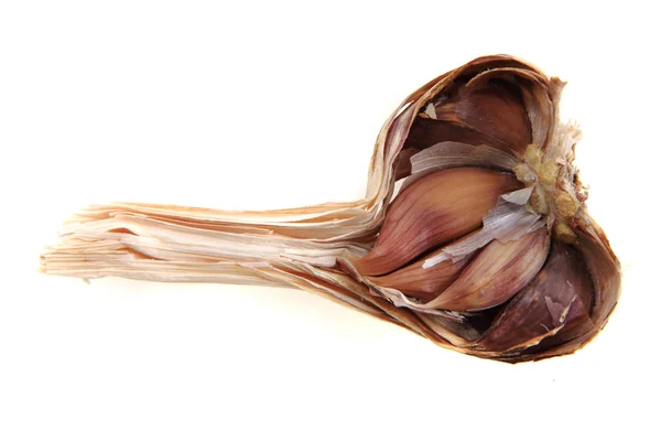 Garlic head isolated — Stock Photo, Image