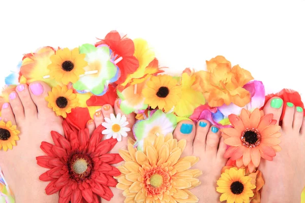 Mulheres pés e flores (pedicure tbackground ) — Fotografia de Stock