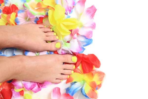 Women feets and flowers (pedicure tbackground) — Stock Photo, Image