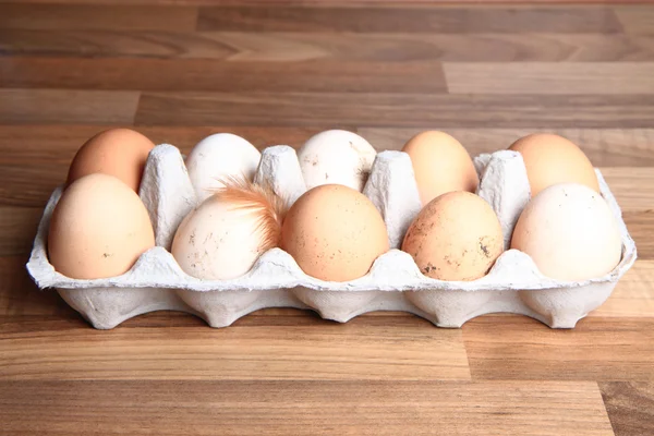 Fresh eggs with chicken feather — Stock Photo, Image