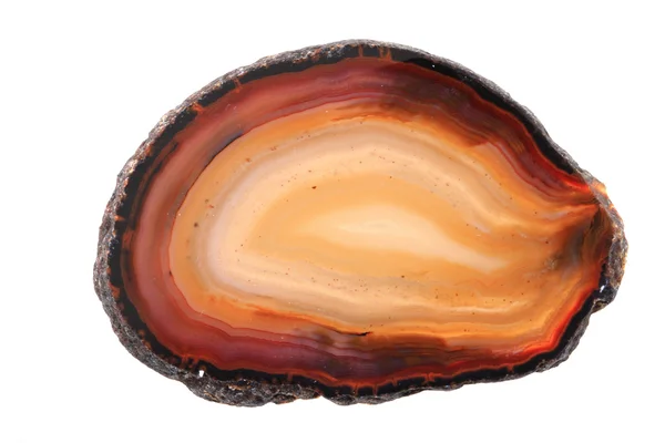 Agate coklat terisolasi — Stok Foto