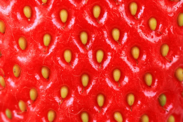 Fond rouge fraise — Photo