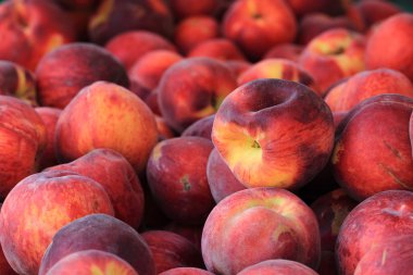 Red şeftali arka plan