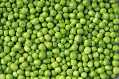 green pea background clipart