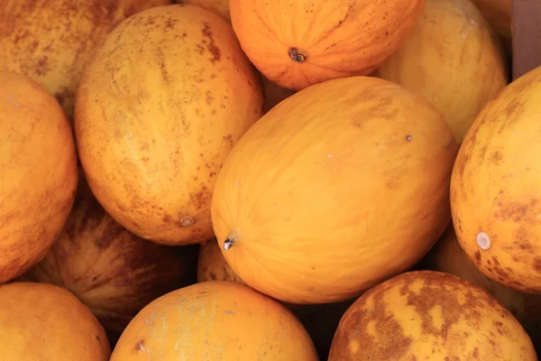 Gelbe Melonen — Stockfoto