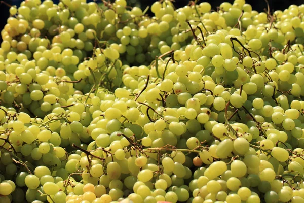 Фон білий виноград — стокове фото