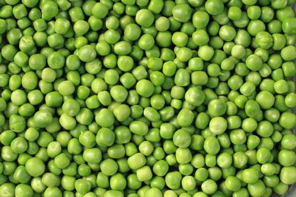 Зеленый горох
