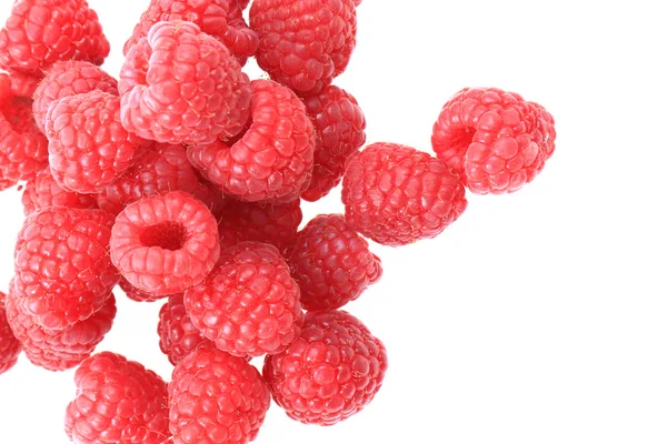 Himbeeren isoliert — Stockfoto