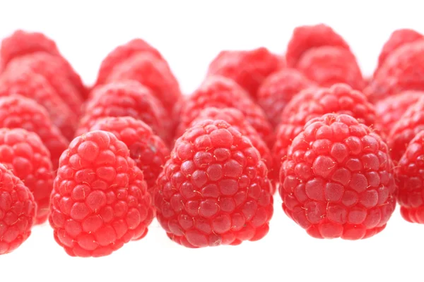 Himbeeren isoliert — Stockfoto