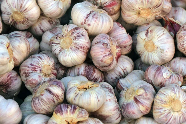 Czech strong garlic background — Stock Photo, Image