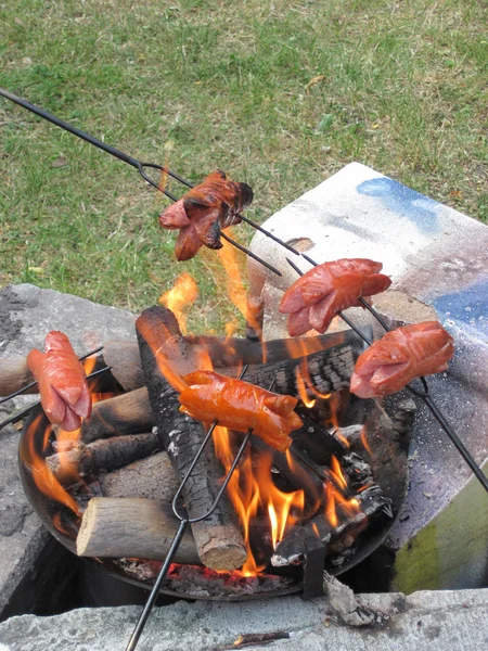 多味腊肠准备在火上 — 图库照片