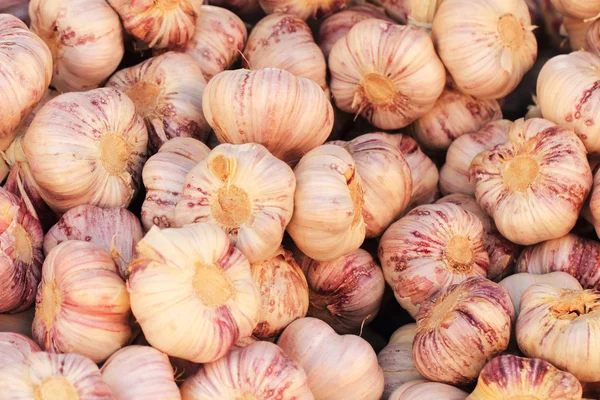 Czech strong garlic background — Stock Photo, Image