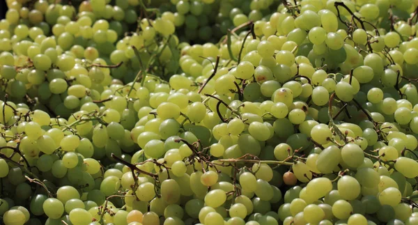 Fundo de uvas brancas — Fotografia de Stock