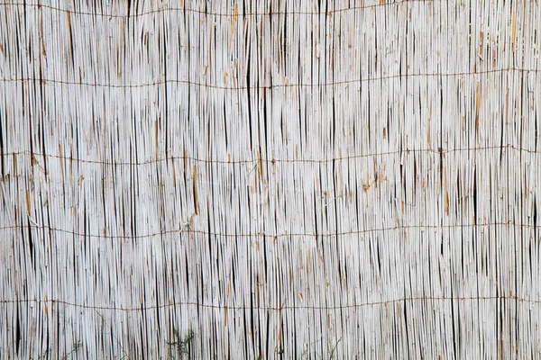 Textura de bambú de color blanco —  Fotos de Stock