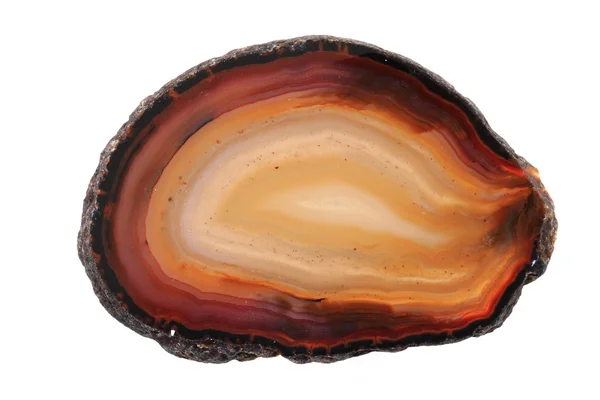Agate brune isolée — Photo