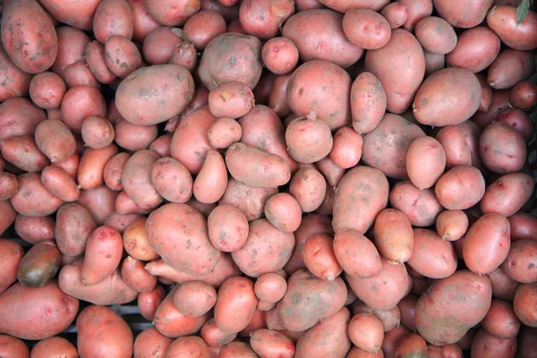 Red potatoes background — Stock Photo, Image