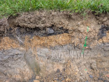 very nice soil layers one meter from the grass in Czech republic