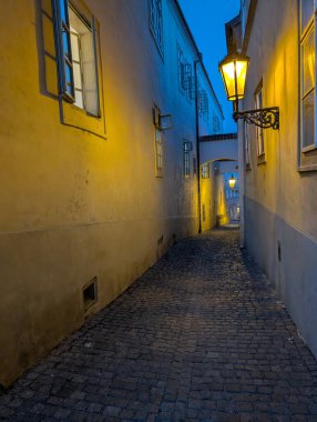 Prag Kalesi 'ndeki en büyük tarihi bina. 