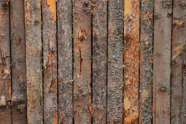 Holz Rinde Hintergrund — Stockfoto