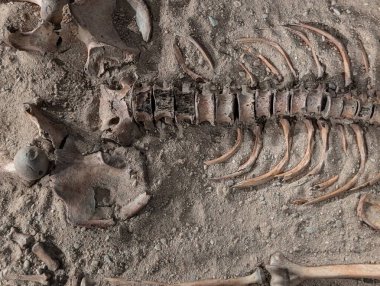 Eski insan kemikleri çok karanlık bir arka plan.