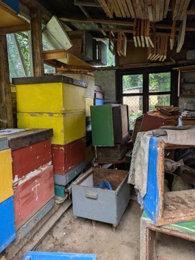 Küçük çiftliğimden eski bir arının içi.