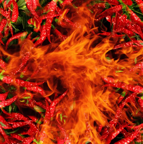 Chili in the flames — Stock Photo, Image