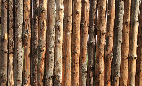Drewniany kora tekstury — Zdjęcie stockowe