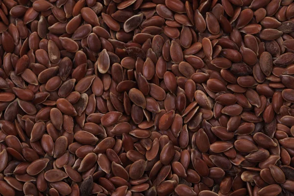 Textura semințelor de in — Fotografie, imagine de stoc