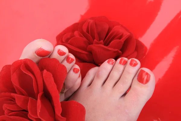 Women feets and flowers (pedicure tbackground) — Stock Photo, Image