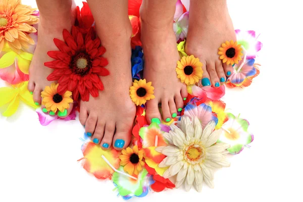 Mulheres pés e flores (pedicure tbackground ) — Fotografia de Stock