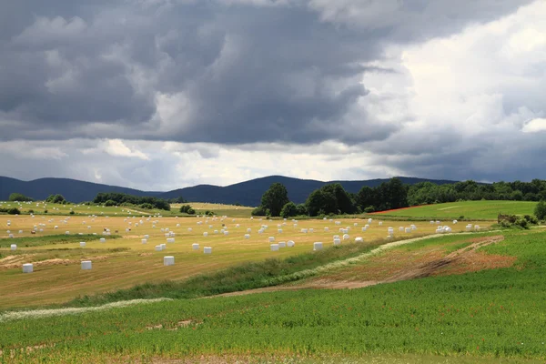 Tschechisches Land mit Strohballen — Stockfoto