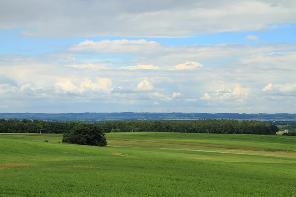 Tjeckiska jordbruks-land — Stockfoto