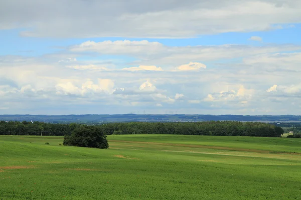 Tschechisches Agrarland — Stockfoto