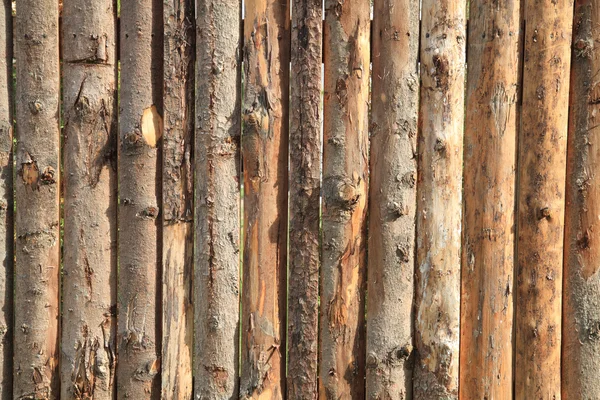 Гавкати, текстурою деревини — стокове фото