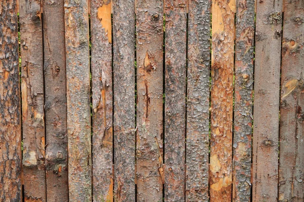 Гавкати, текстурою деревини — стокове фото