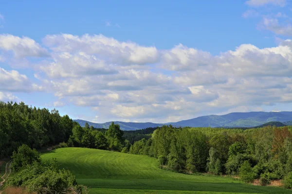 Tschechische Frühlingslandschaft — Stockfoto