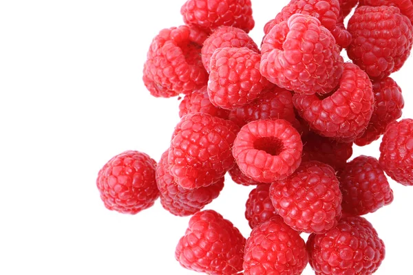 Frische Himbeeren im Hintergrund — Stockfoto