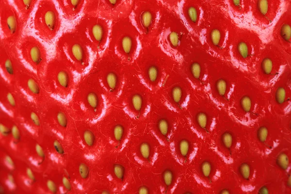 Fond de fraise rouge — Photo