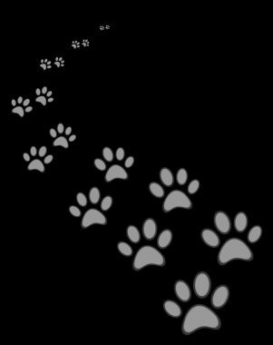 Sevimli köpek ya da kedi pençe yazdırma