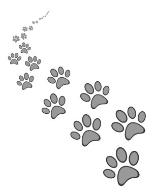 Sevimli köpek ya da kedi pençe yazdırma