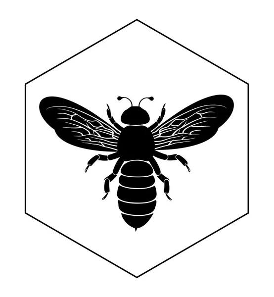 Biene auf Honigzelle — Stockvektor