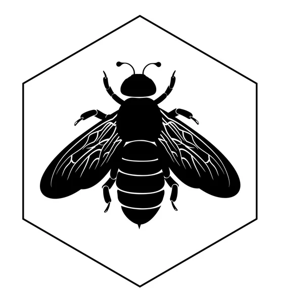 Biene auf Honigzelle — Stockvektor