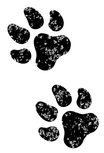 Animal paw print — Stock Vector