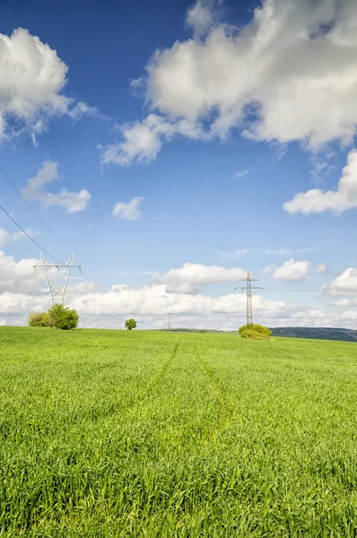 Γεωργικό τομέα της πράσινο σιτάρι, το χόρτο και μπλε του ουρανού με τα σύννεφα — Φωτογραφία Αρχείου