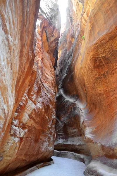 Siq of Petra — Stock Photo, Image