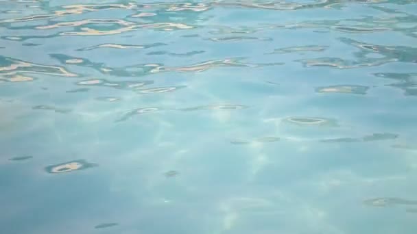 Movimiento de agua de la piscina — Vídeo de stock