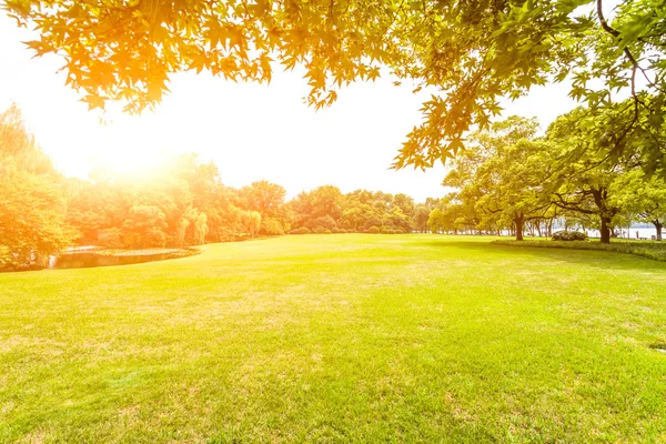 Grüner Rasen mit Sonnenlicht — Stockfoto