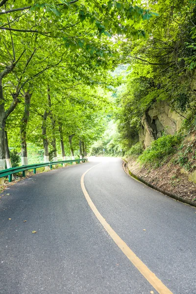 Straße durch den Wald — Stockfoto