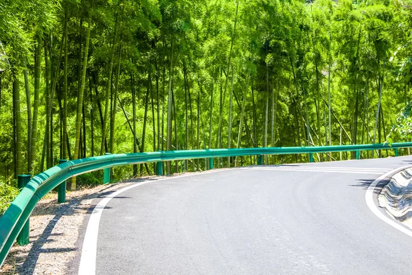 Дорога через бамбуковый лес — стоковое фото